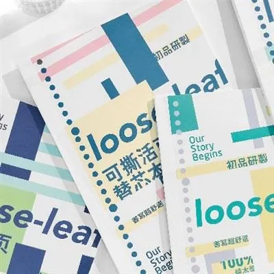 Kako složiti stranice u bilježnicu s listovima za izvješće?